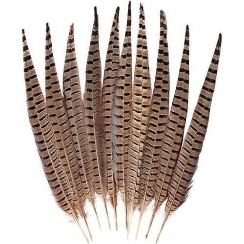 FeelfunFeather 5pcs Pheasant Feather 16-18inch 40-45cm Natural Male Ringneck Tails Feathers for DIY Crafts Home Wedding Party Carnival Decoration