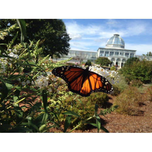 Family Membership | Lewis Ginter Botanical Garden