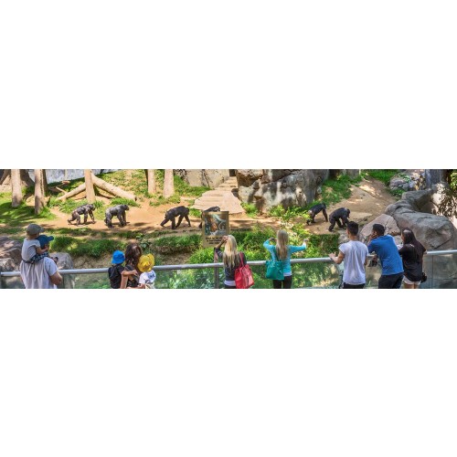Membership - Los Angeles Zoo and Botanical Gardens (Individual Plus)