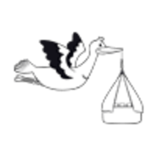 Cradle Canopy | Hussh Cradles – Hussh-Cradles