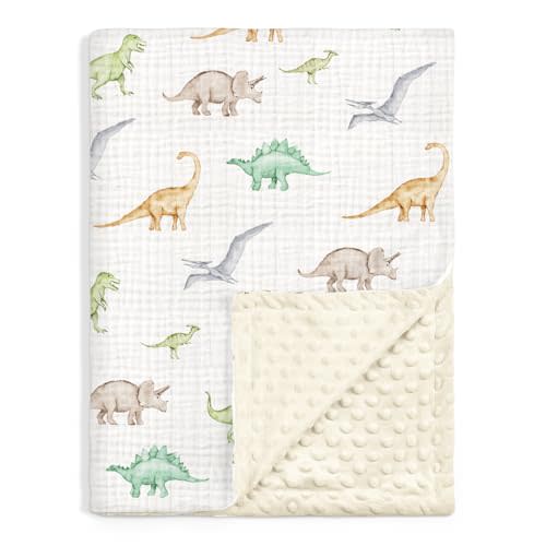 Dinosaur Baby Blankets for Boys, Newborn, Soft Nursery Minky Blankets with Muslin and Dotted Fleece Back 30x40 inches, Receiving Bed Quilt for Infants, Toddlers