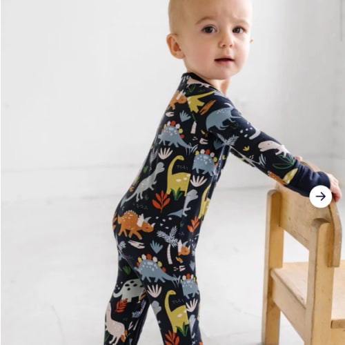 Navy Jurassic Jungle Zippy - Little Sleepies