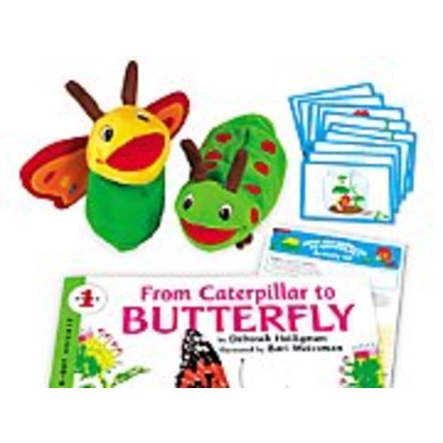 From Caterpillar to Butterfly Big Book Activity Kit