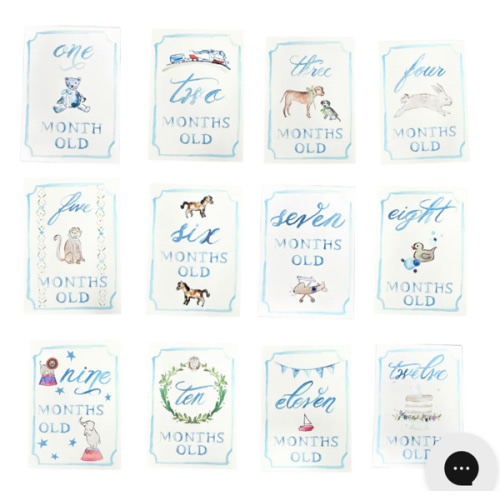 Monthly Milestone Card Set - Blue | Danrie