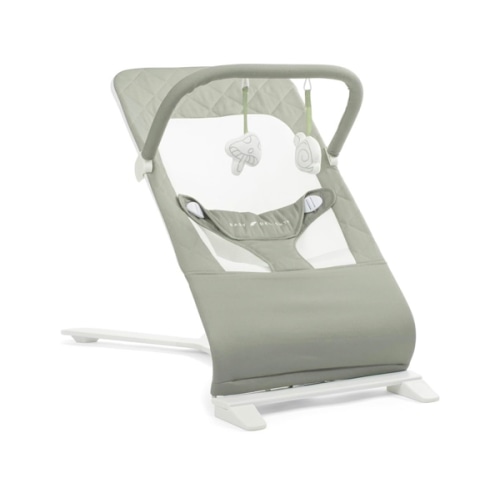 Amazon.com: Baby Delight Alpine Deluxe Portable Bouncer, Organic Sage | Infant 0-6 Months, 3-Position Recline, 3-Point Safety Harness, 100% GOTS Certified Cotton Fabric Removable & Washable Cover