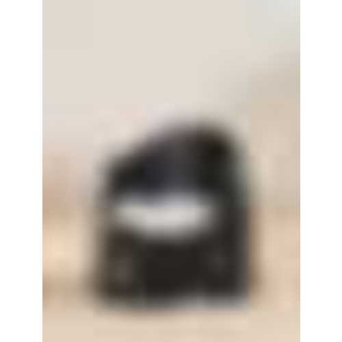 BabyBjörn Potty Chair