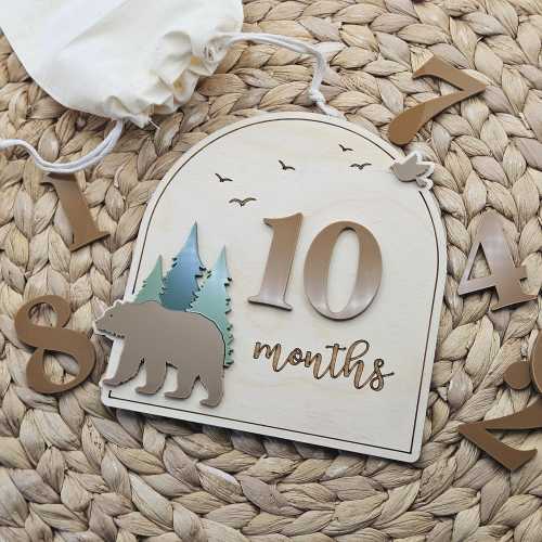 Bear and Trees Baby Milestone Discs | Interchangeable Numbers, Photo Prop