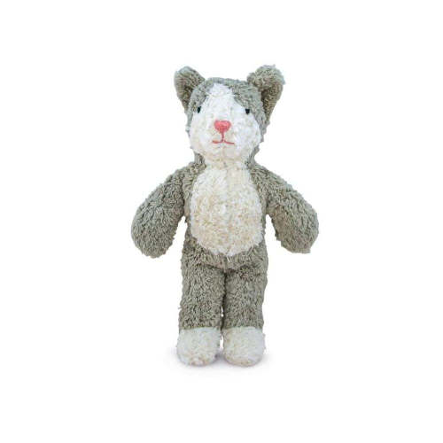 Senger Animal Baby Cat