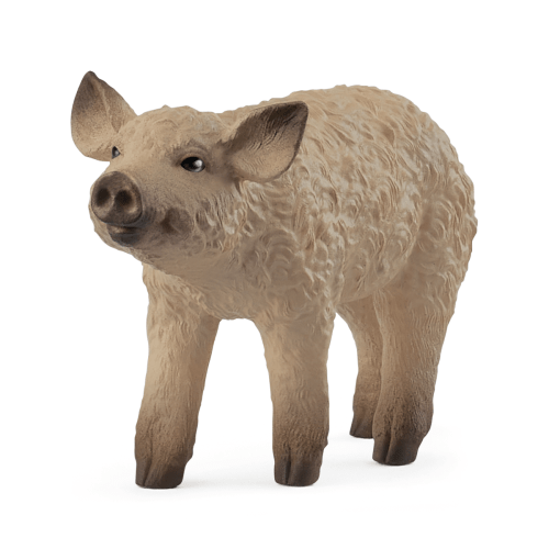 Mangalica Piglet 14893 | Schleich USA Inc.