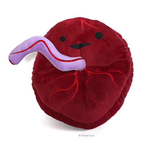 I Heart Guts Placenta Plush - Cute Educational Organ Toy for Childbirth & Postpartum - Funny Get Well Recovery Gift for Labor Delivery Nurse Patients & Medical Student STEM Anatomy Plushie