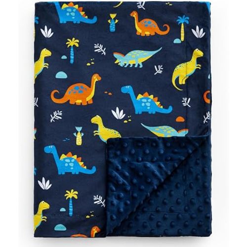david's kids Micro Fleece Minky Baby Blanket for Boys with Double Layer and Soothing Raised Dots, Breathable and Soft Lightweight Receiving Blanket for Newborns, 30x40 Inches, Dinosaur