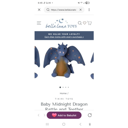 Dragon Teether rattle