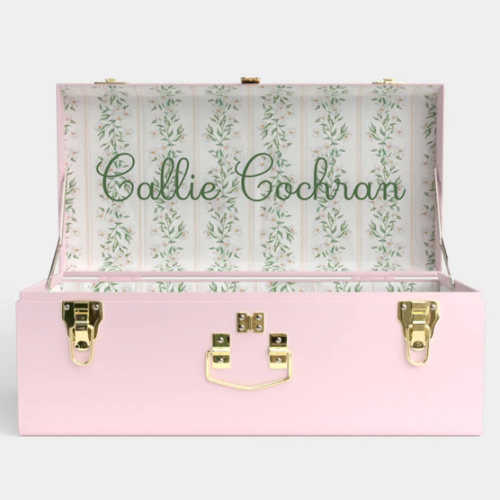 Petite Trunk - Pink | Petite Keep