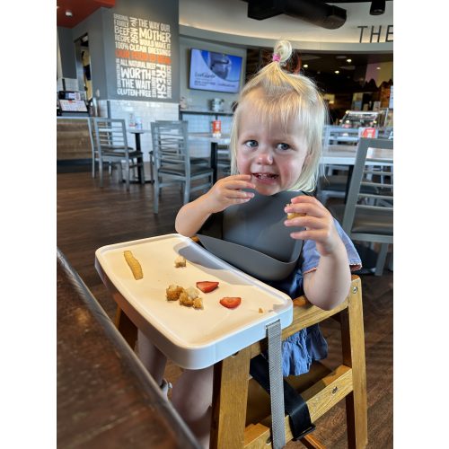 Dine Out Tray