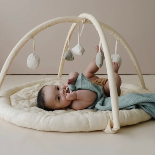 Play Gym