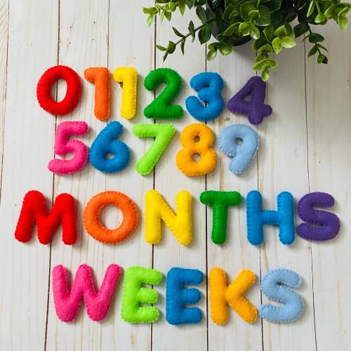 Felt Baby Milestone Numbers