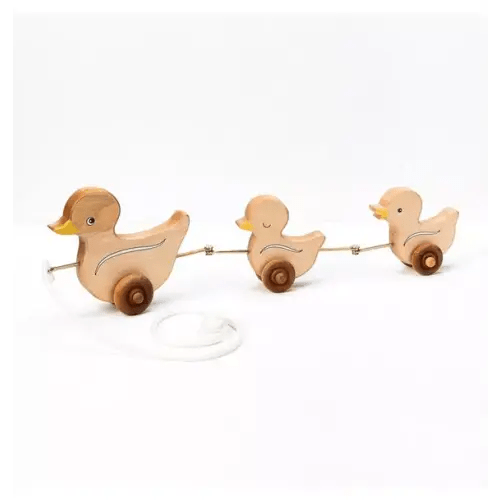 Brands We Love Pull Toy - The 3 Ducks by Janie and Jack