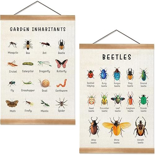 Insect Posters Garden Inhabitants&Beetles