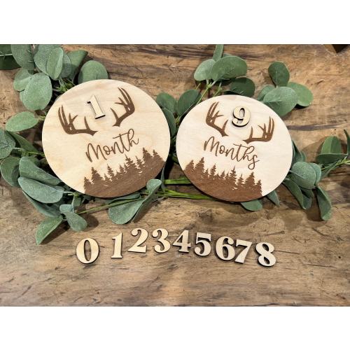 Deer Baby Monthly Milestone, Boy Monthly Photo Sign, Woodland Milestone Discs, Mountain Baby Photo Props, Deer Antlers Milestones