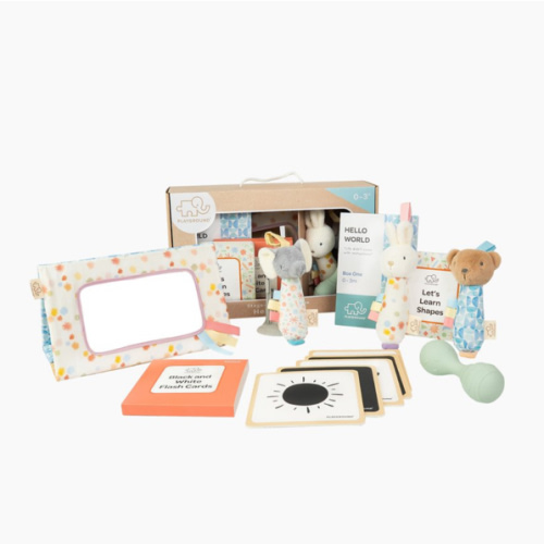 THE ICONIC Playground Box 1: Hello World (0-3M)