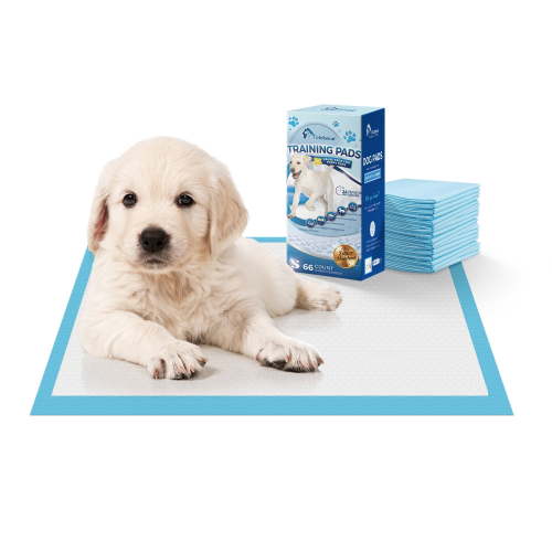 Tolobeve Senior Absorbent Training Pads, Leak-Proof Disposable Pee Pads, Small, 13x18 in, 66 Count