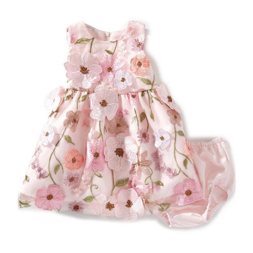 Rare Editions Baby Girls Sleeveless Floral-Embroidered-Appliqued Fit-And-Flare Dress
