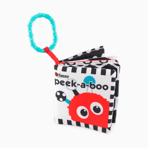 Black & White Peek-a-Boo Book