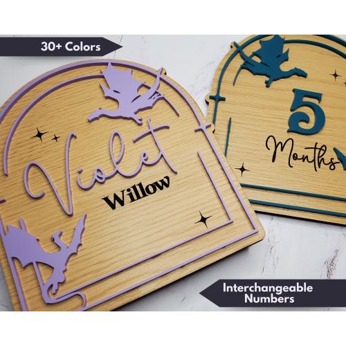 Dragon Baby Milestone Photo Cards for Monthly Baby Pictures First Year Birth Details Wood Cards Dragon Theme Baby Gift for Shower Photo Prop