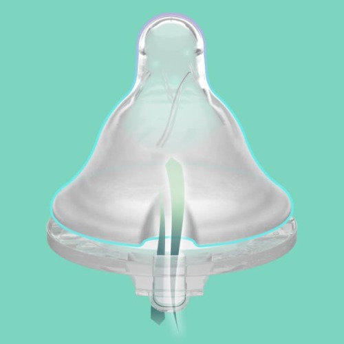 Evenflo 🍼 Balance + Bottles for Breastfed Babies – Evenflo Feeding