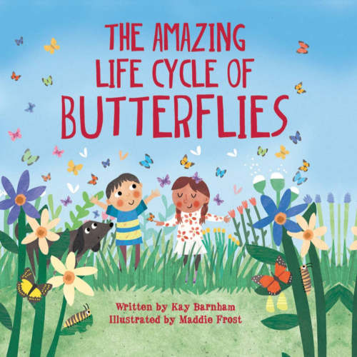 The Amazing Life Cycle of Butterflies