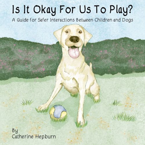 Is It Okay For Us To Play? | Barnes & Noble®