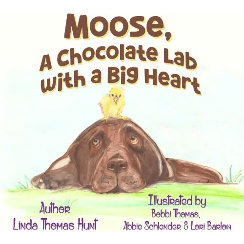 Moose, A Chocolate Lab with a Big Heart