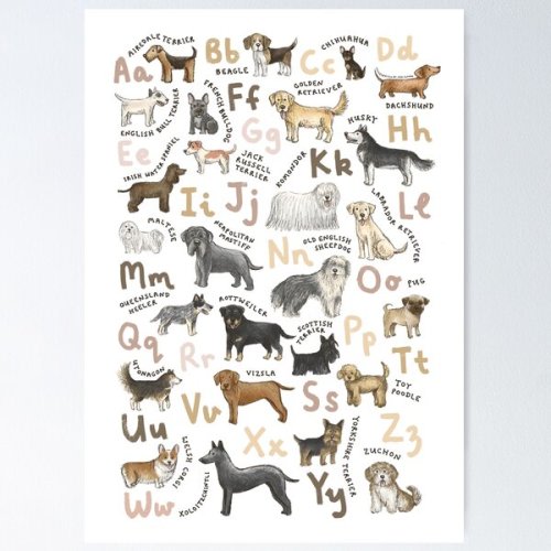 Dog Breeds Alphabet Poster