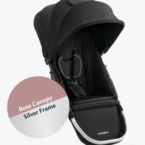Stroller Seat with Canopy 3.0