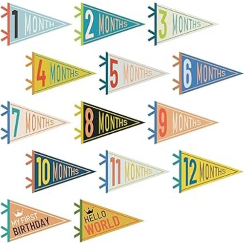 VitalCozy 14 Pcs Baby Milestone Pennant Signs Monthly Milestone Banner Flags Pennant Triangle Banner Age Flag Signs for Boy Girl Newborn Birthday Party Decor(Mixed Colors)