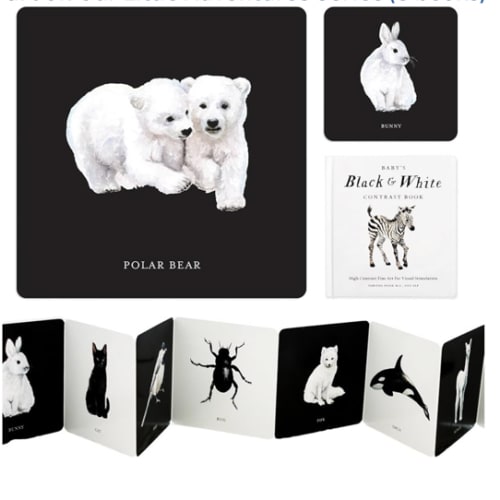 Baby's Black and White Contrast Book: High-Contrast Art for Visual Stimulation at Tummy Time (Tabitha Paige Children's Book Series)