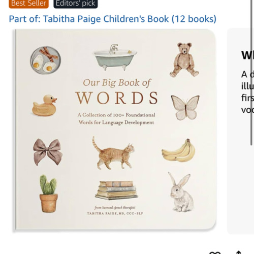 Our Big Book of First Words: A Collection of 100+ Foundational Words for Language Development (Tabitha Paige Children's Book Series)