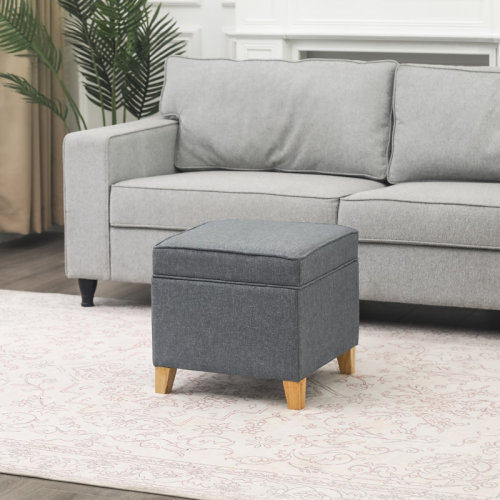 Ebern Designs Felixstowe Storage Ottoman Script & Reviews | Wayfair