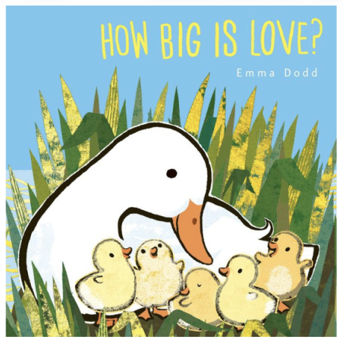 How Big is Love? - 9781536232561
