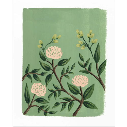 Painted Peonies Emerald Art Print – Rifle Paper Co