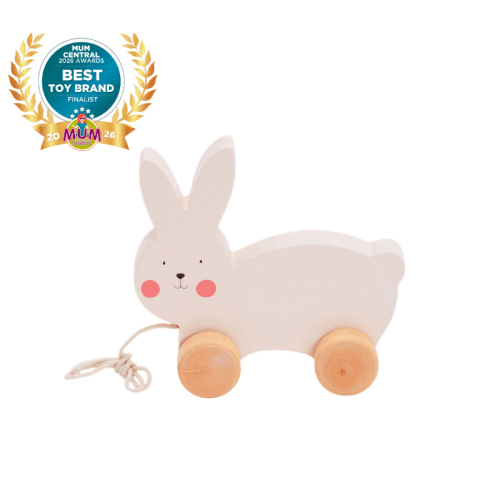 Bubble Wooden Rabbit Pull Along