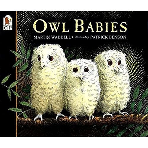 Owl Babies