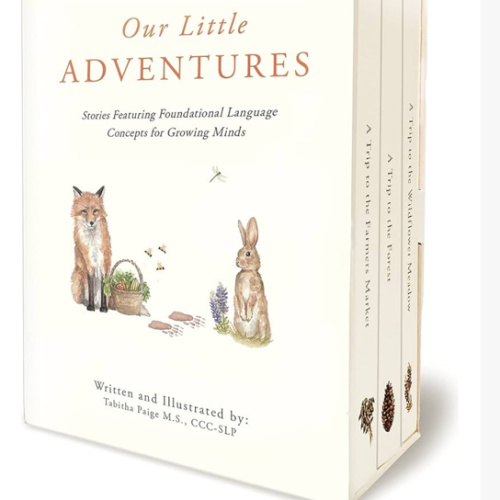 Our Little Adventures: Stories Featuring Foundational Language Concepts for Growing Minds (Tabitha Paige Children's Book Series)