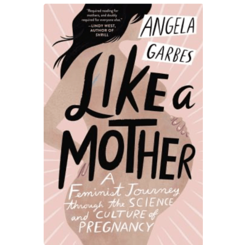Like a Mother a book by Angela Garbes