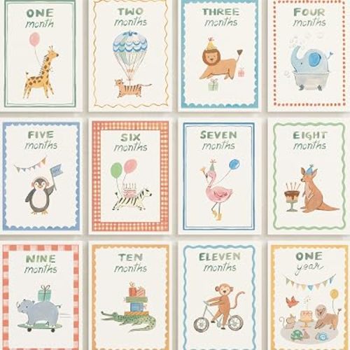 MINTED | Monthly Baby Milestone Cards, Set of 13, First Year Photo Props