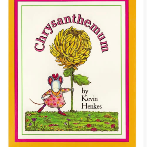 Chrysanthemum