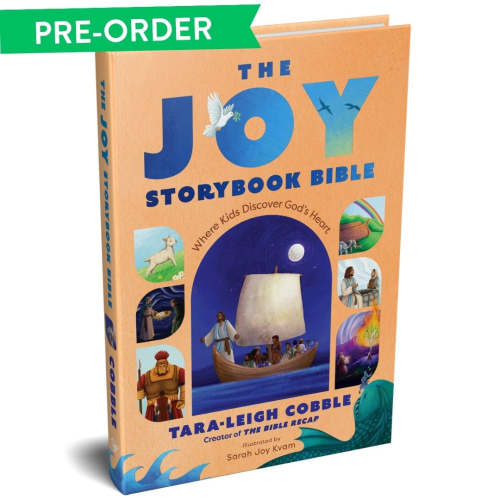 The Joy Storybook Bible