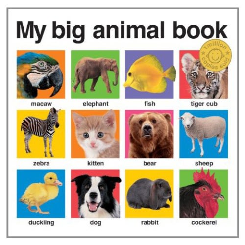 My Big Animal Book