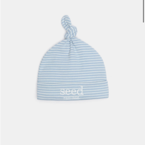 Core Rib Logo Hat | Sage Stripe | Seed Heritage