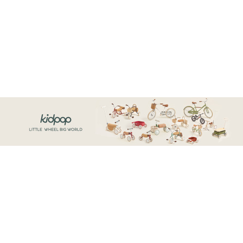 Amazon.com: Kidpop: Tricycle